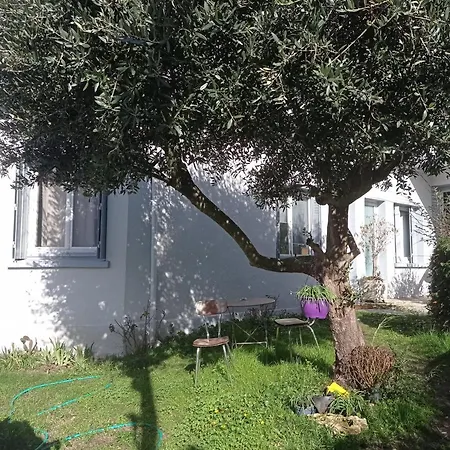 Meublee Independante, Avec Piscine Et Jardin, 1 Lit Pour 2 Personnes Direct Gare Aeroport Apartment Toulouse